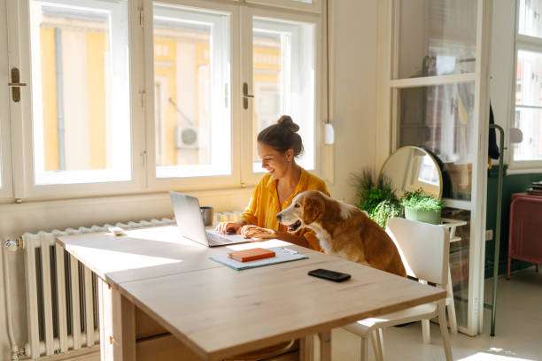 Make your home pet-friendly